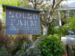 諸岡竜樹(アーバンガーデナー)のガーデン会社ソルソファームが素敵すぎる!