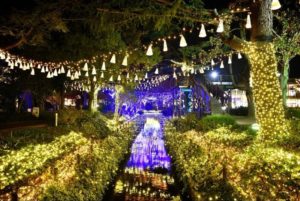 倉敷みらい公園(きらめきのみち)2018-2019イルミネーションの日程やワークショップやミニコンサートについて