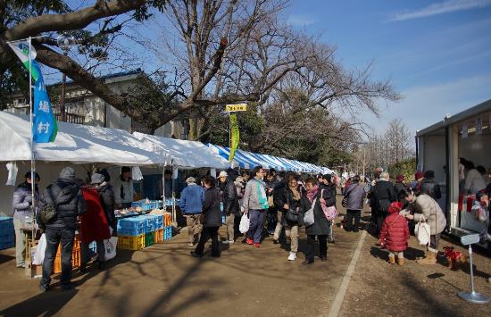 羽根木公園 せたがや梅まつりの見頃は アクセスと駐車場も調査